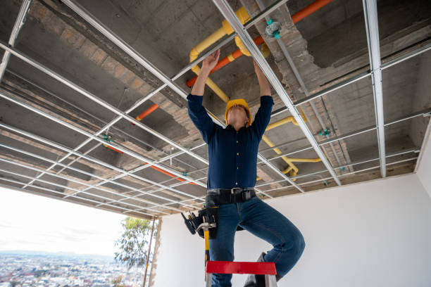 Best Local Plumber Services  in Red Bay, AL