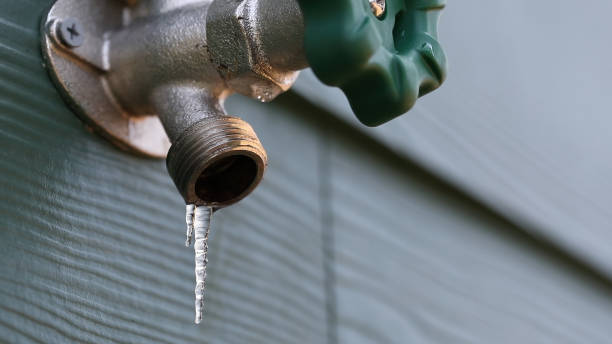 Best Septic Systems  in Red Bay, AL